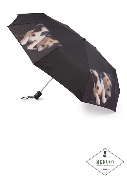 Зонт с фотопринтом щенят «Джек рассел», автомат, OpenClose-4, Fulton R346-3361