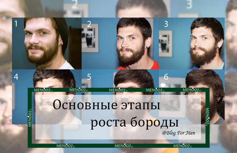 слайд Основные этапы роста бороды мобильной версии