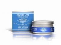 Крем для нормальной и комбинированной кожи Institut Karite Shea Active Day 